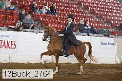 13buck_2764 proof