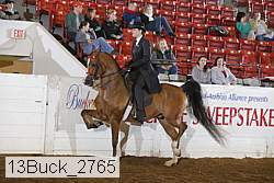 13buck_2765 proof