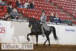 13buck_2766 proof