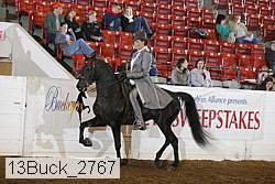 13buck_2767 proof