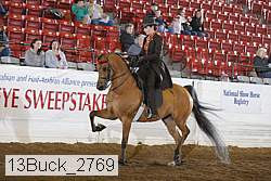 13buck_2769 proof