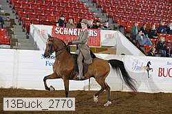 13buck_2770 proof