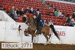 13buck_2771 proof