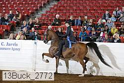 13buck_2772 proof