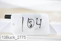 13buck_2775 proof
