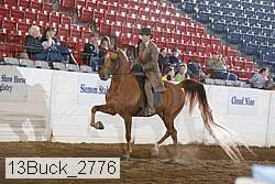 13buck_2776 proof