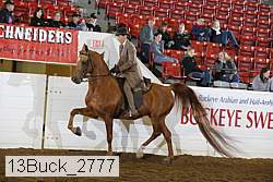 13buck_2777 proof
