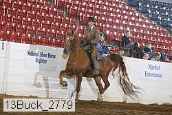 13buck_2779 proof