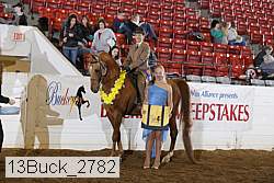 13buck_2782 proof