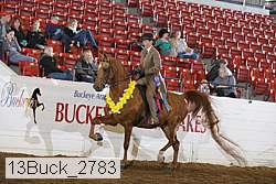 13buck_2783 proof