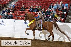 13buck_2784 proof