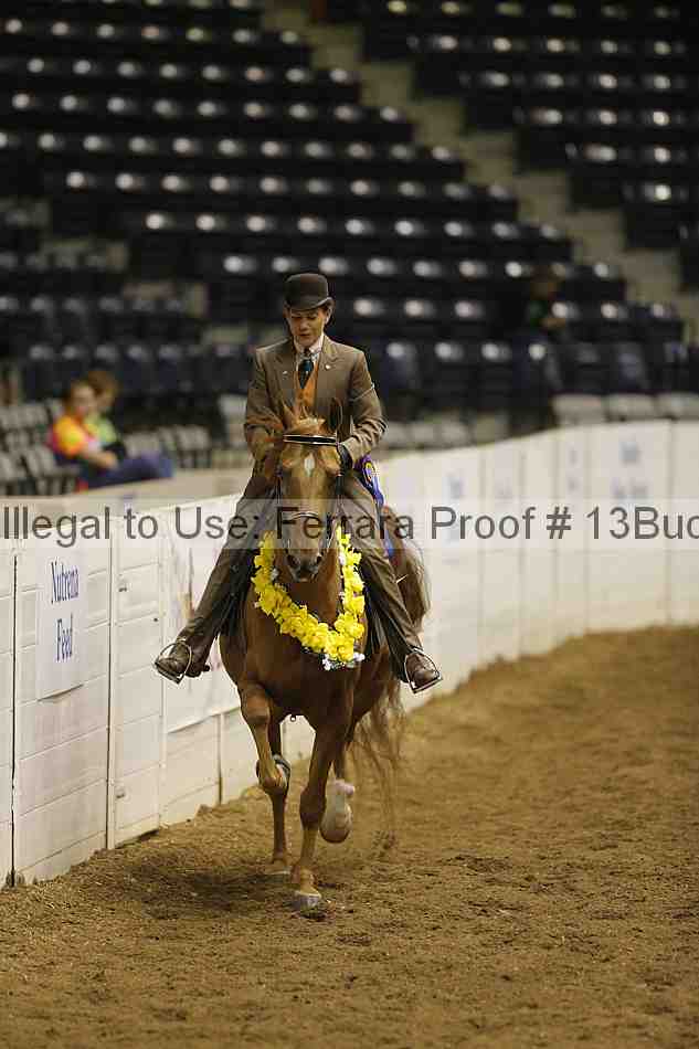 Proof 13buck_2785