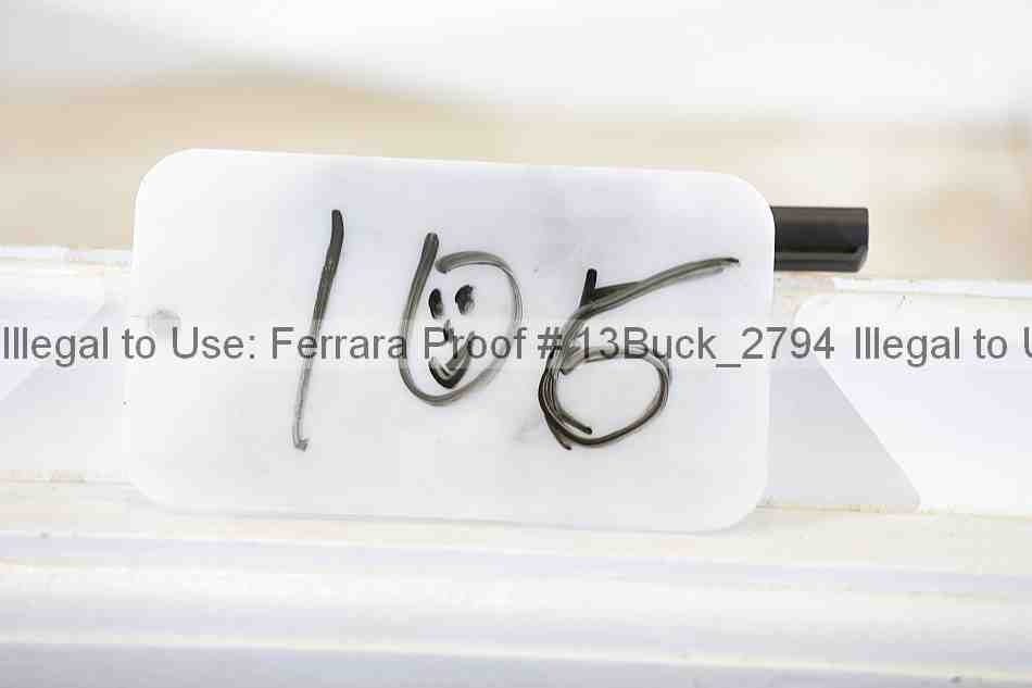 Proof 13buck_2794