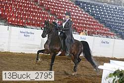 13buck_2795 proof
