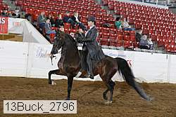 13buck_2796 proof