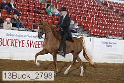 13buck_2798 proof