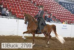 13buck_2799 proof