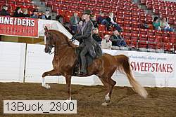 13buck_2800 proof