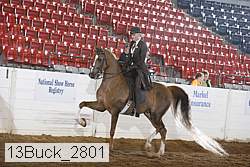 13buck_2801 proof