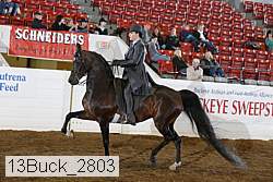 13buck_2803 proof