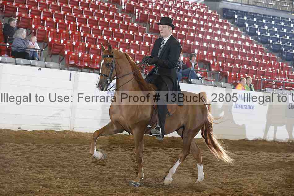 Proof 13buck_2805