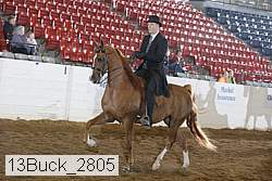13buck_2805 proof