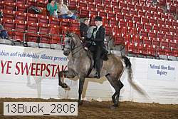 13buck_2806 proof