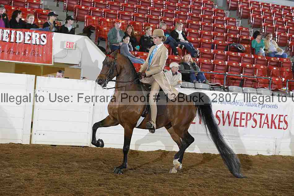 Proof 13buck_2807