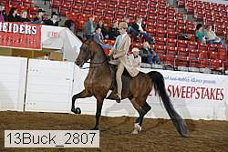 13buck_2807 proof