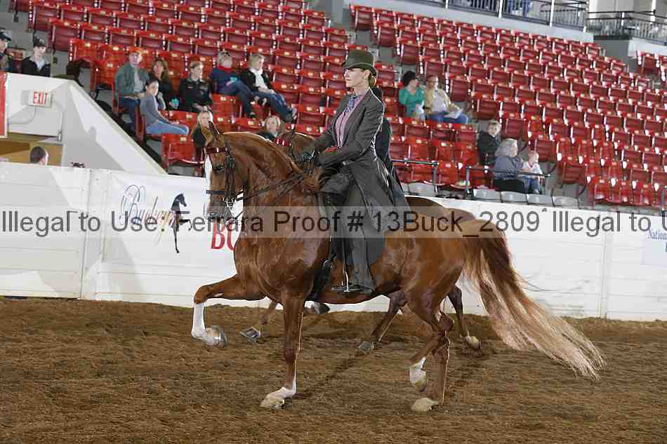 Proof 13buck_2809