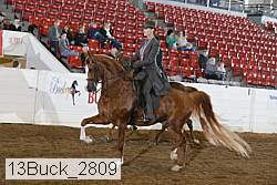 13buck_2809 proof