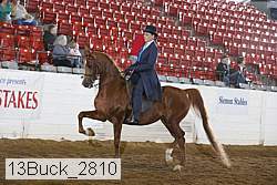 13buck_2810 proof