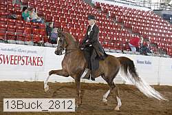 13buck_2812 proof