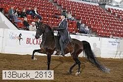13buck_2813 proof