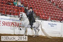 13buck_2814 proof