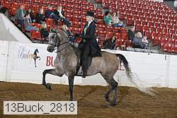 13buck_2818 proof