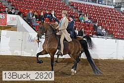 13buck_2820 proof