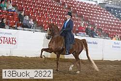13buck_2822 proof