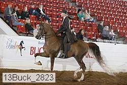 13buck_2823 proof