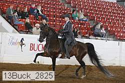 13buck_2825 proof