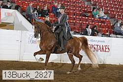 13buck_2827 proof