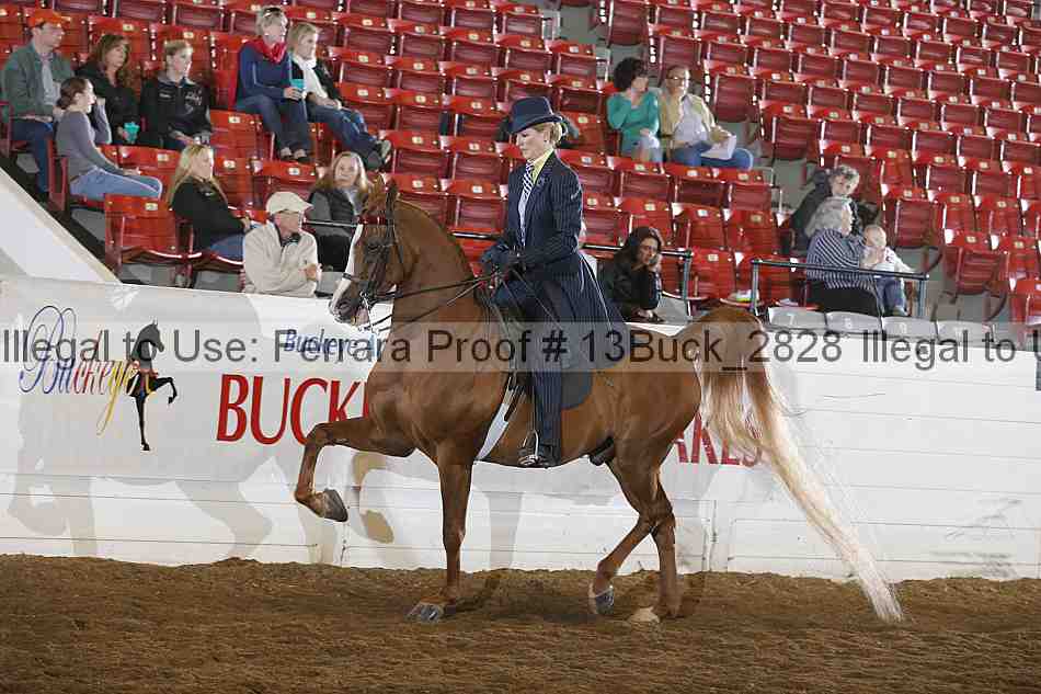 Proof 13buck_2828