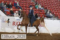13buck_2828 proof
