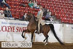 13buck_2830 proof