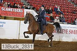 13buck_2831 proof