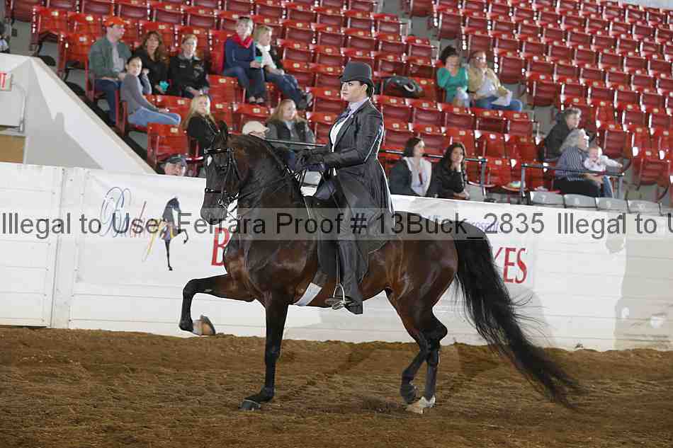 Proof 13buck_2835