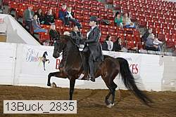 13buck_2835 proof