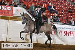 13buck_2836 proof