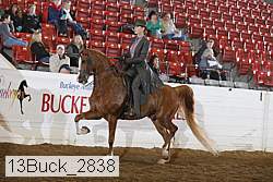 13buck_2838 proof
