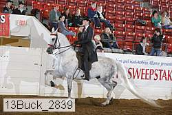 13buck_2839 proof